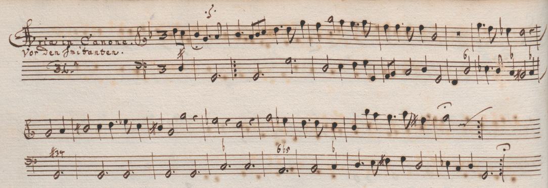 Manuscript page of Schmelzer Particella